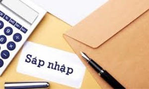 Sáp nhập và tinh giản